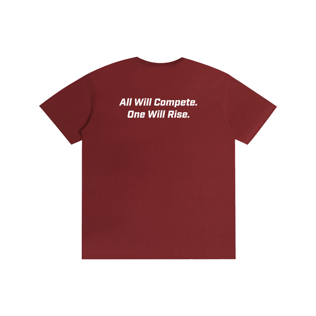 100% Cotton DC Playoff Unisex T-Shirt